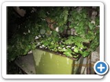 IMG_0015